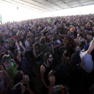 Coachella Crowd (2012)