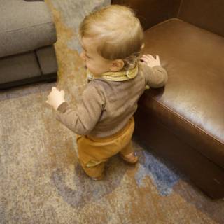 Exploring the Living Room