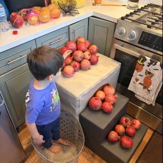 Pomegranate Paradise in the Kitchen