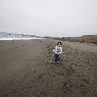 Young Explorer Strolling Along a Foggy Beach