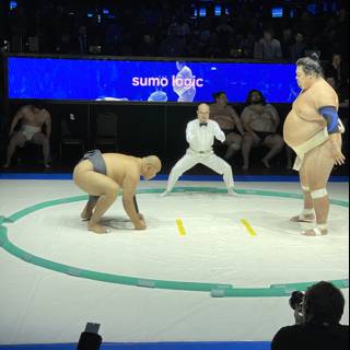 Sumo wrestlers battle it out at World Tournament