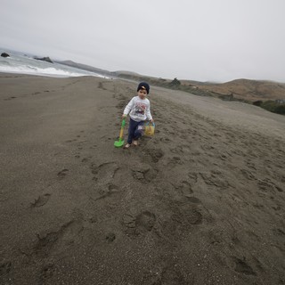 Little Explorer Walks the Misty California Coastline