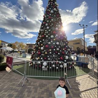 Holiday Joy at The Veranda