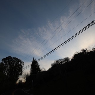 Silhouetted Trees and Power Lines at Twilight