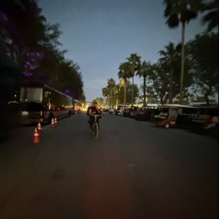 Evening Ride Through the Urban Oasis
