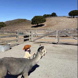 Little Wrangler in Carmel Valley