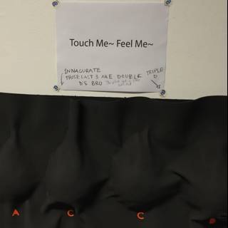 Touch Me Feel Me Art Installation