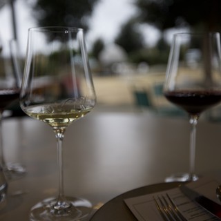 Elegant Wine Tasting with White and Red Varietals