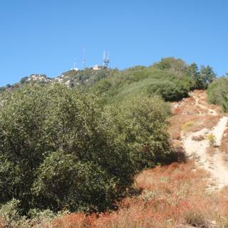 Summit Trail to Towering Heights