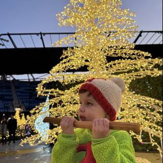 Winter Wonder at PayPal Park