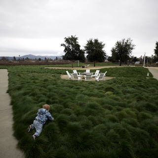 Child Running Through Ornamental Grass at Park