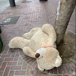 Abandoned Bear