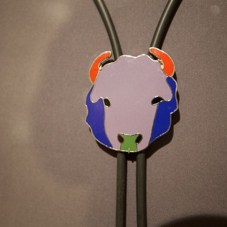 Colorful Enamel Pendant with Metal Bolo Tie Cord