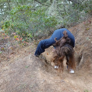 hillside trail