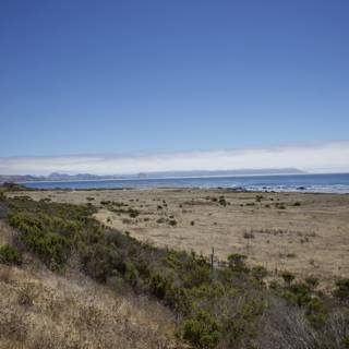 Coastal Serenity