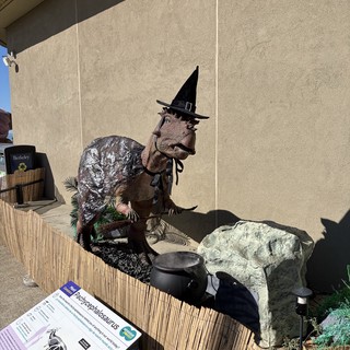 Pachycephalosaurus Dinosaur Display in Witch's Hat Halloween Costume