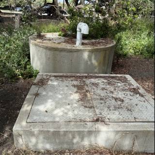Resting Place Amidst Nature