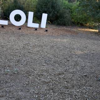 Adventure at Filoli