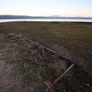 Rusted Anchor Resting on Coastal Grassland at Dusk