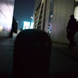 The Night Stroll in Urban Korea