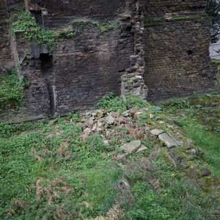 Ancient Stone Wall Ruins Reclaimed by Nature