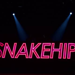 Snakehips Lights Up the Night