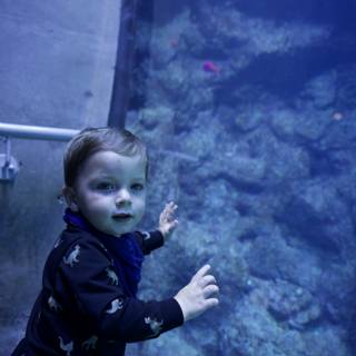 Baby's Fascination with Marine Life
