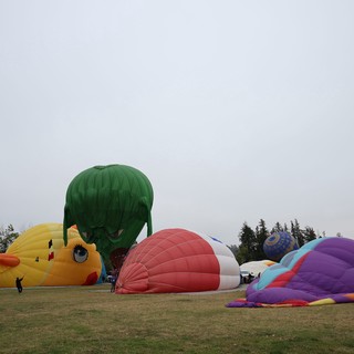 Whimsical Hot Air Balloons Inflate at Sonoma County Classic