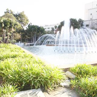 Fountain Oasis in the City