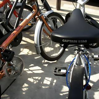 Captain Birdseye's Innovative Bike Share