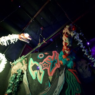 Illuminated Dinosaur Skeleton Display at Night Event