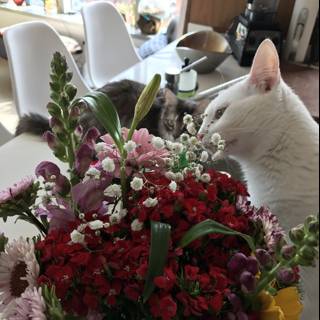Feline and Floral Still Life