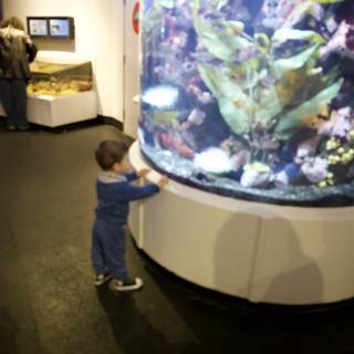 Childlike Wonder at the Aquarium of the Bay, 2024
