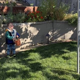 Backyard Adventures