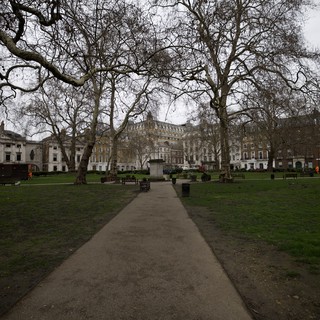 Bare Trees Frame Georgian Square on Grey London Day