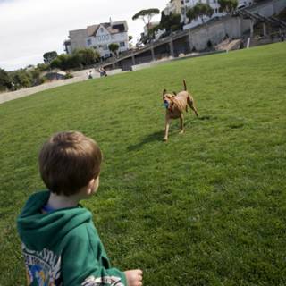 Unforgettable Bond: A Boy and His Dog at Francisco Park