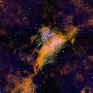 IC1318A Emission Nebula in Cygnus - SHO Narrowband Palette
