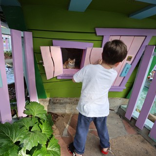 Child Discovering Cat in Whimsical Playhouse Window