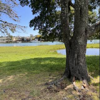 Serenity by the Creek