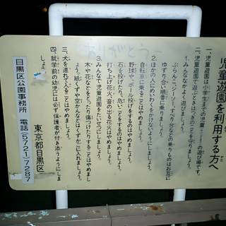 Japanese Signage Illuminating the Night