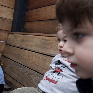 Two Young Children at Disneyland Adventure