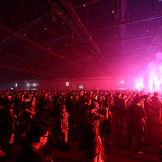 Massive Crowd Surges at Wobbleland EDM Festival 2026