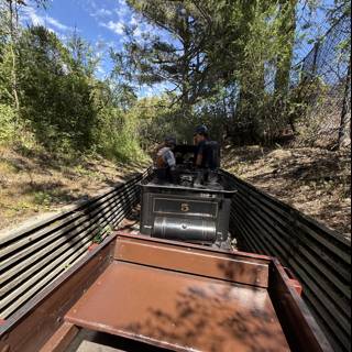 Journey Through the Trees