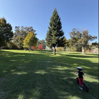 Autumn Adventure at Larkey Park