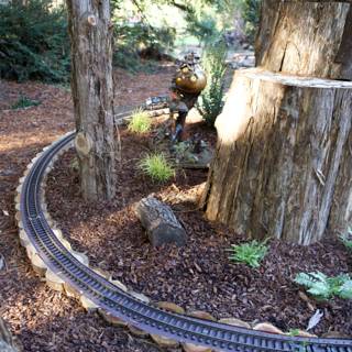 Miniature Wonders in Woodland