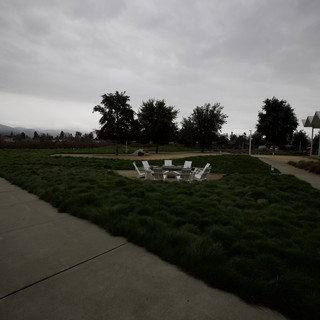 Tranquil Overcast Evening at Wine Country Estate