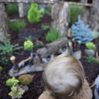 Exploring Thistlewyck's Enchanted Gardens