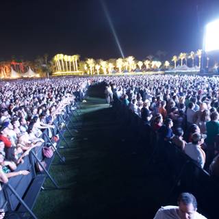 Night Sky Concert Crowd