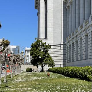 Majestic City Hall in San Francisco