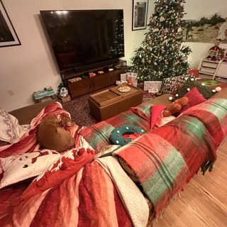 Cozy Christmas Morning Living Room Scene